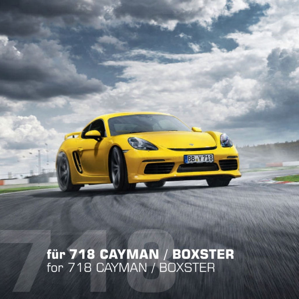 Porsche 718 Cayman / Boxster Techart Program