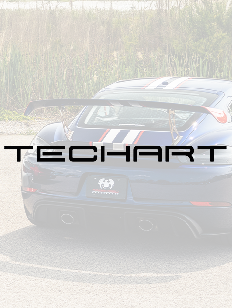 TECHART Power-Kit Cayenne GTS 09YFL/S1.1 E3.2